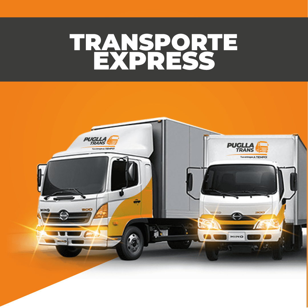 ENTREGA EXPRESS